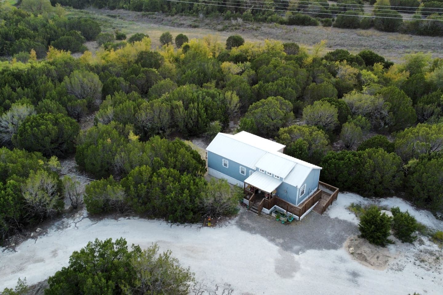 A single-story house with a blue roof, surrounded by dense greenery.