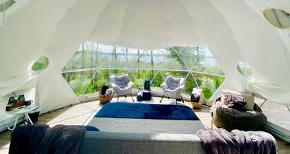 Amazing Bubble Dome in Cherhill, Alberta