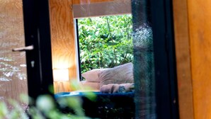Ein Schlafzimmer mit einem Bett, Kissen und einem Fenster mit Blick auf Grünflächen.