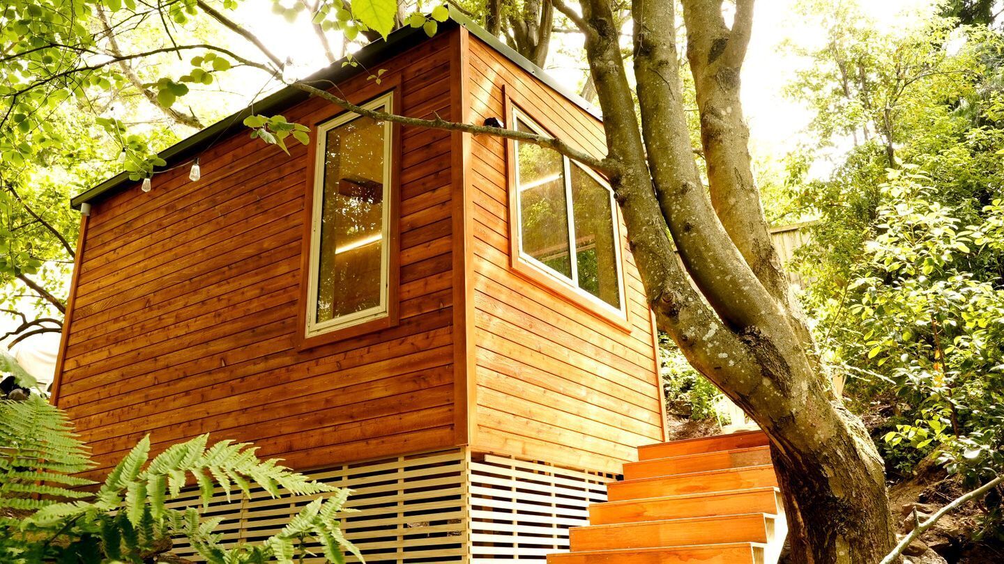 Une cabane en bois dotée de grandes fenêtres, entourée d’arbres et de fougères.
