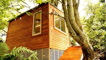 Une cabane en bois dotée de grandes fenêtres, entourée d’arbres et de fougères.