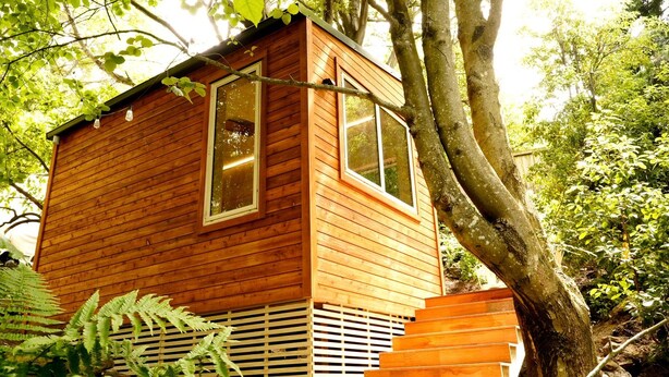 Uma cabana de madeira com grandes janelas, rodeada por árvores e samambaias.