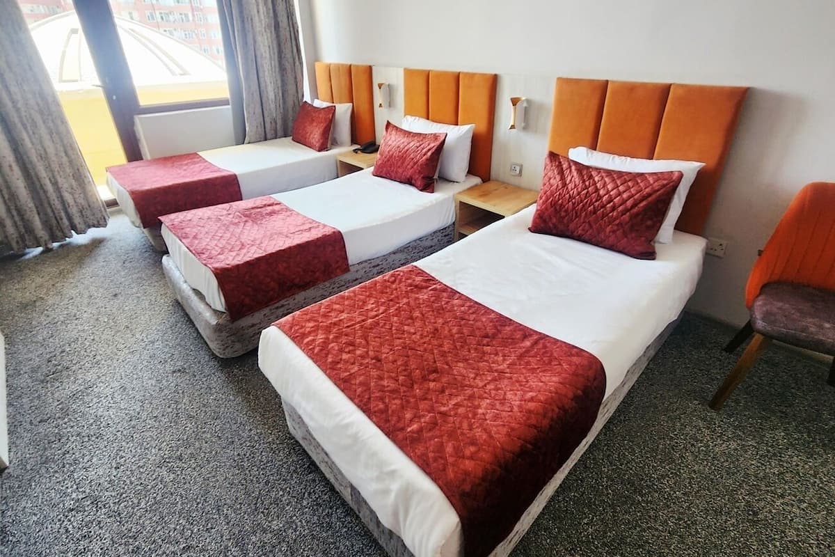 Economy Triple Room | Premium bedding, desk, laptop workspace, soundproofing