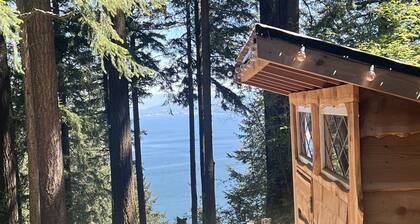 Lakeside Modern Cabin with Spectacular Equipped Outdoor, Jacuzzi and Outdoor Shower in Washington
