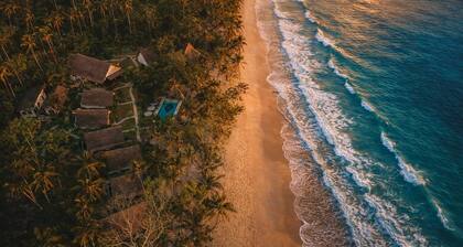 The Henry Qi Elnido
