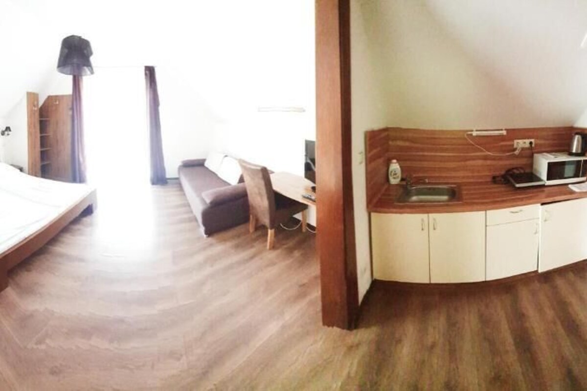 Una habitación con cama, sofá, escritorio y kitchenette.