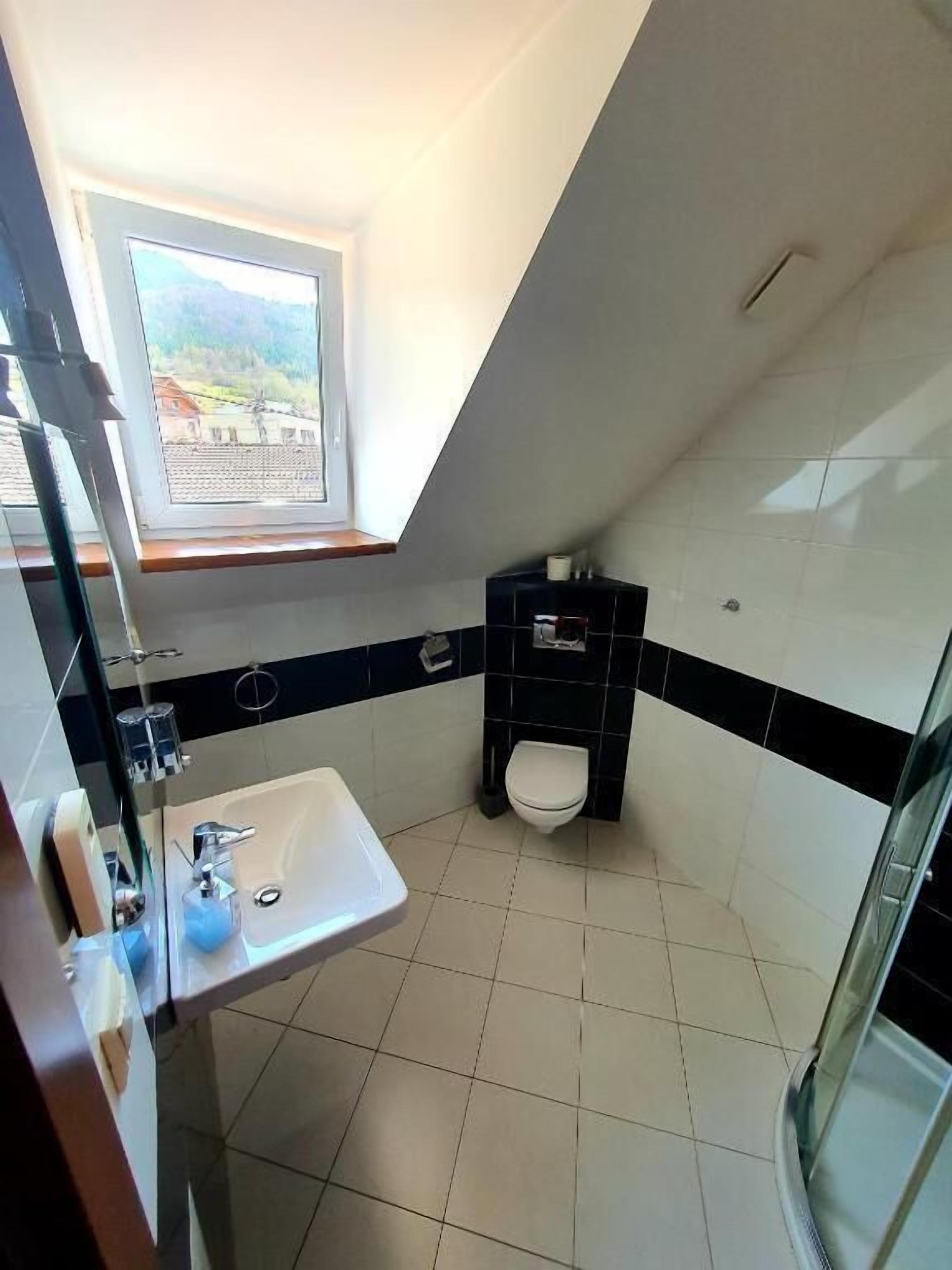 Un baño pequeño y moderno con tragaluz, un lavamanos, un inodoro y una ducha.