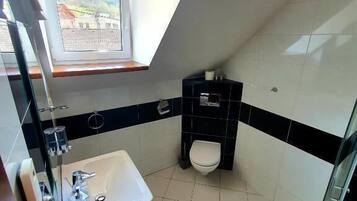 Un baño pequeño y moderno con tragaluz, un lavamanos, un inodoro y una ducha.