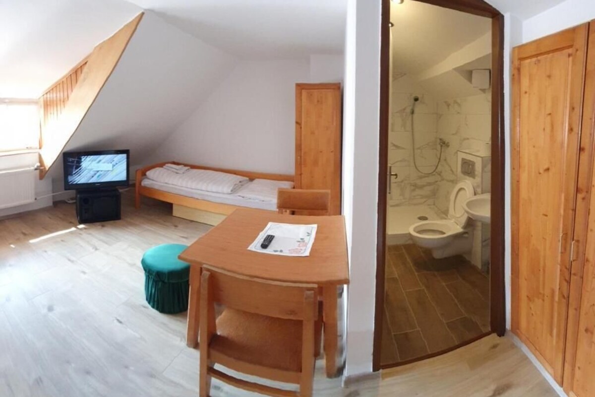 Un apartamento pequeño de una sola habitación con cama tipo altillo, una mesa de madera con una silla, televisión y un baño con ducha e inodoro.