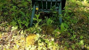 Une chaise verte dans une zone boisée.