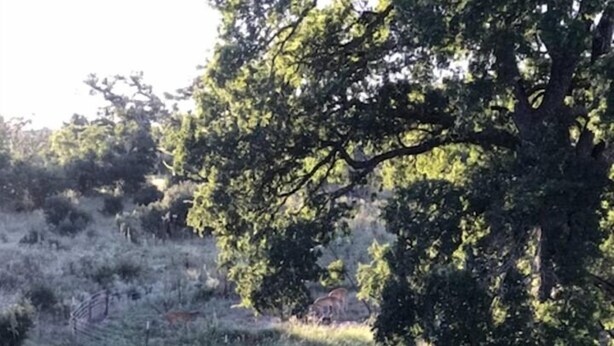 Oklassificerad bild, 1 av 57, knapp