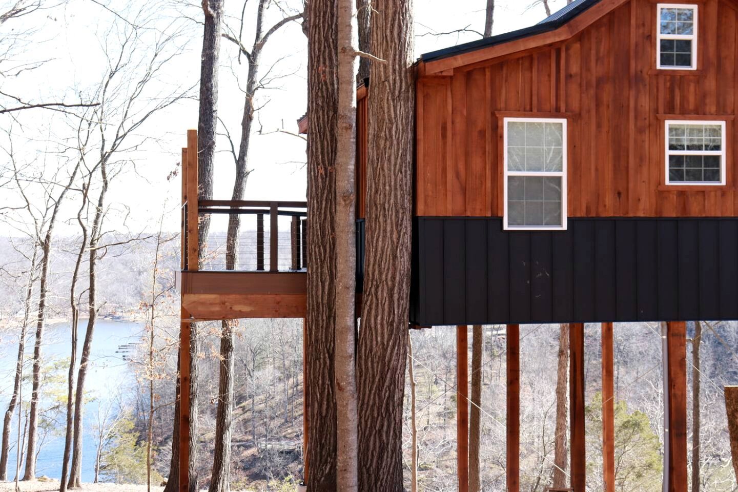 Une cabane perchée dans un arbre, dotée d’une terrasse en bois et d’une partie inférieure noire, entourée d’arbres et bordée par un plan d’eau.