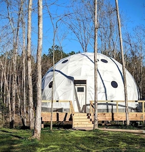 A dome-shaped structure with a door and windows, surrounded by trees.