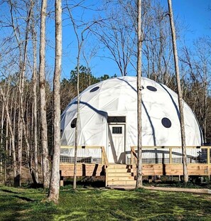 A dome-shaped structure with a door and windows, surrounded by trees.