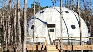 Una estructura abovedada con puerta y ventanas, rodeada de árboles.