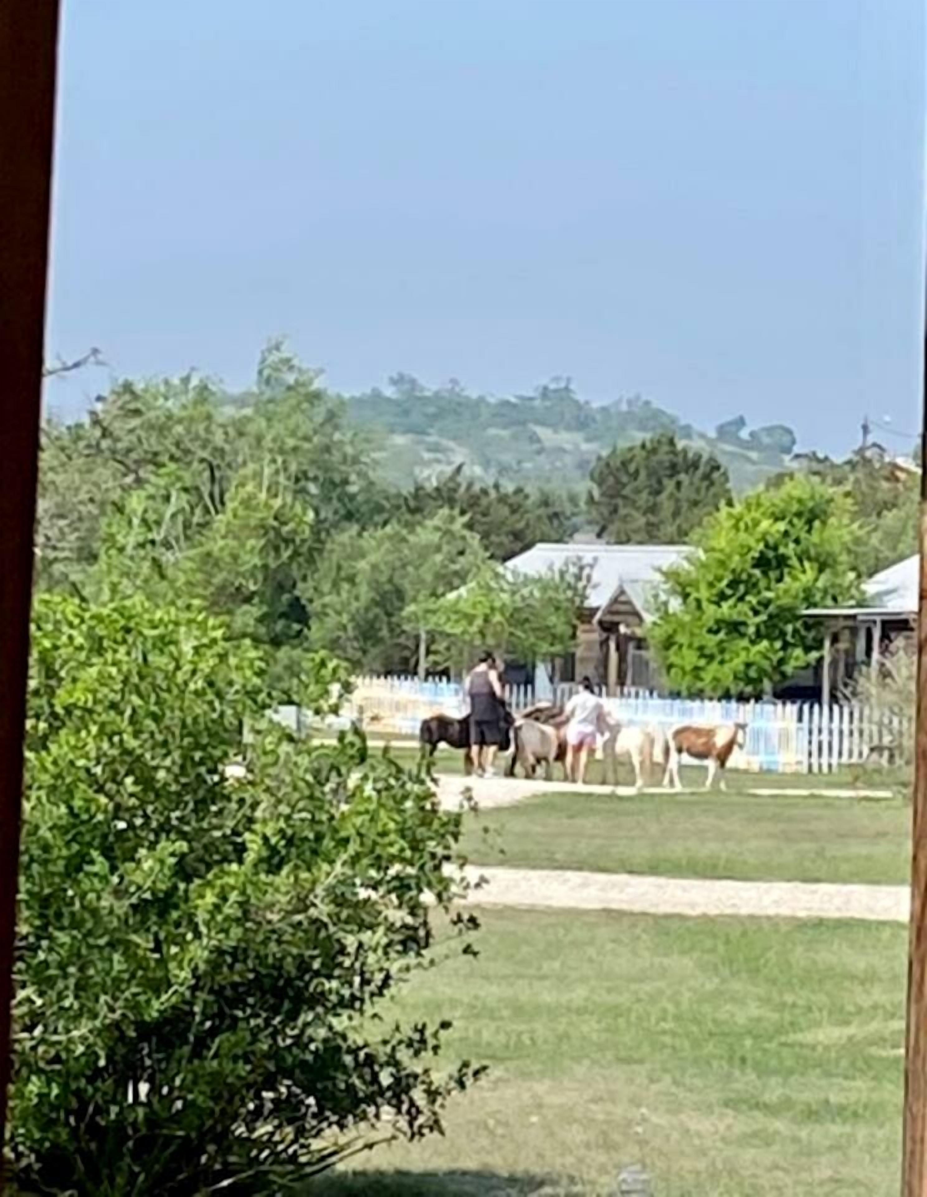 A fenced outdoor area with horses and a person.