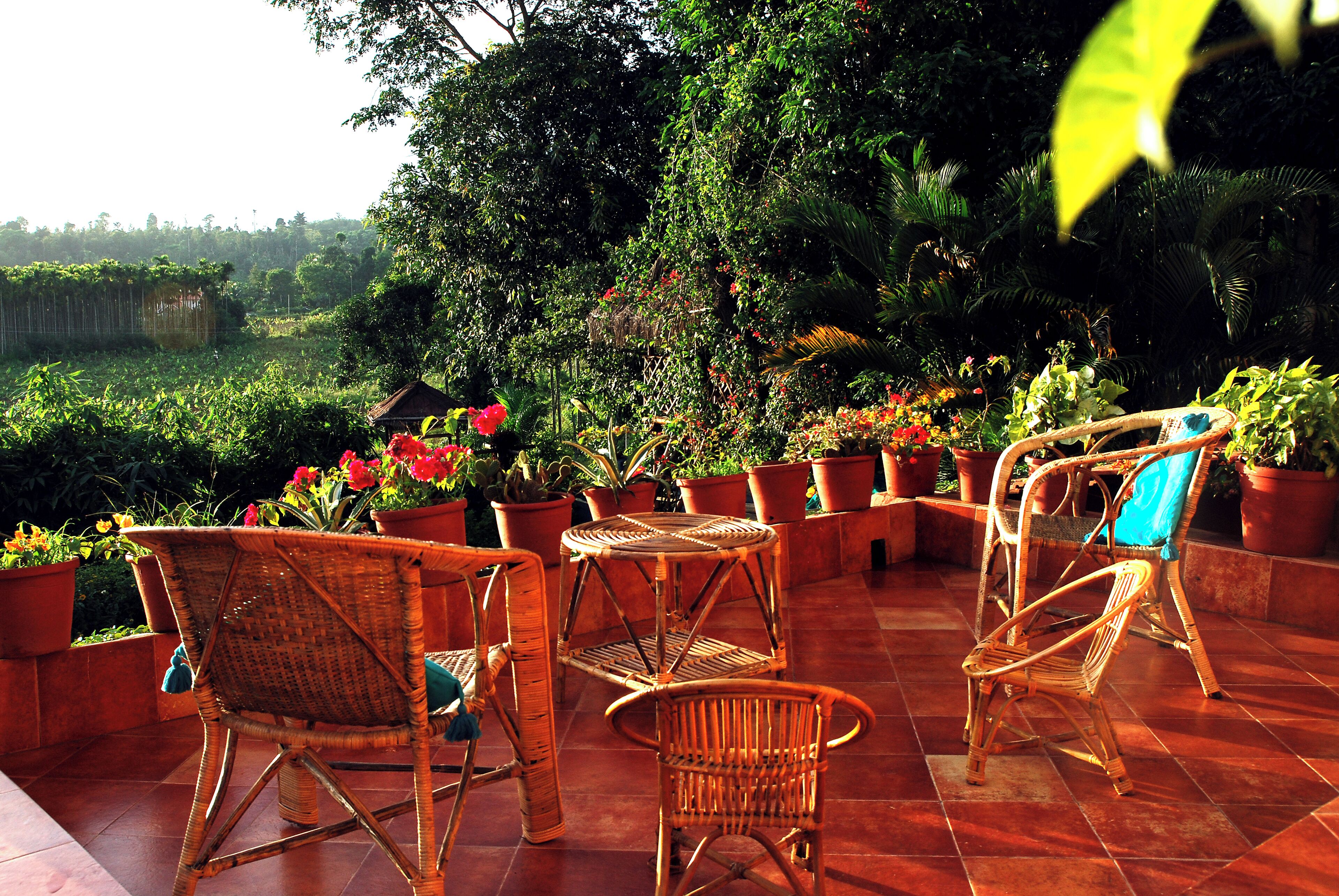 Vista desde la habitación