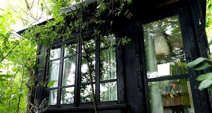 Enchanted Solo Cabin Hideaway with Mountain Views near Lake Wakatipu in Queenstown, New