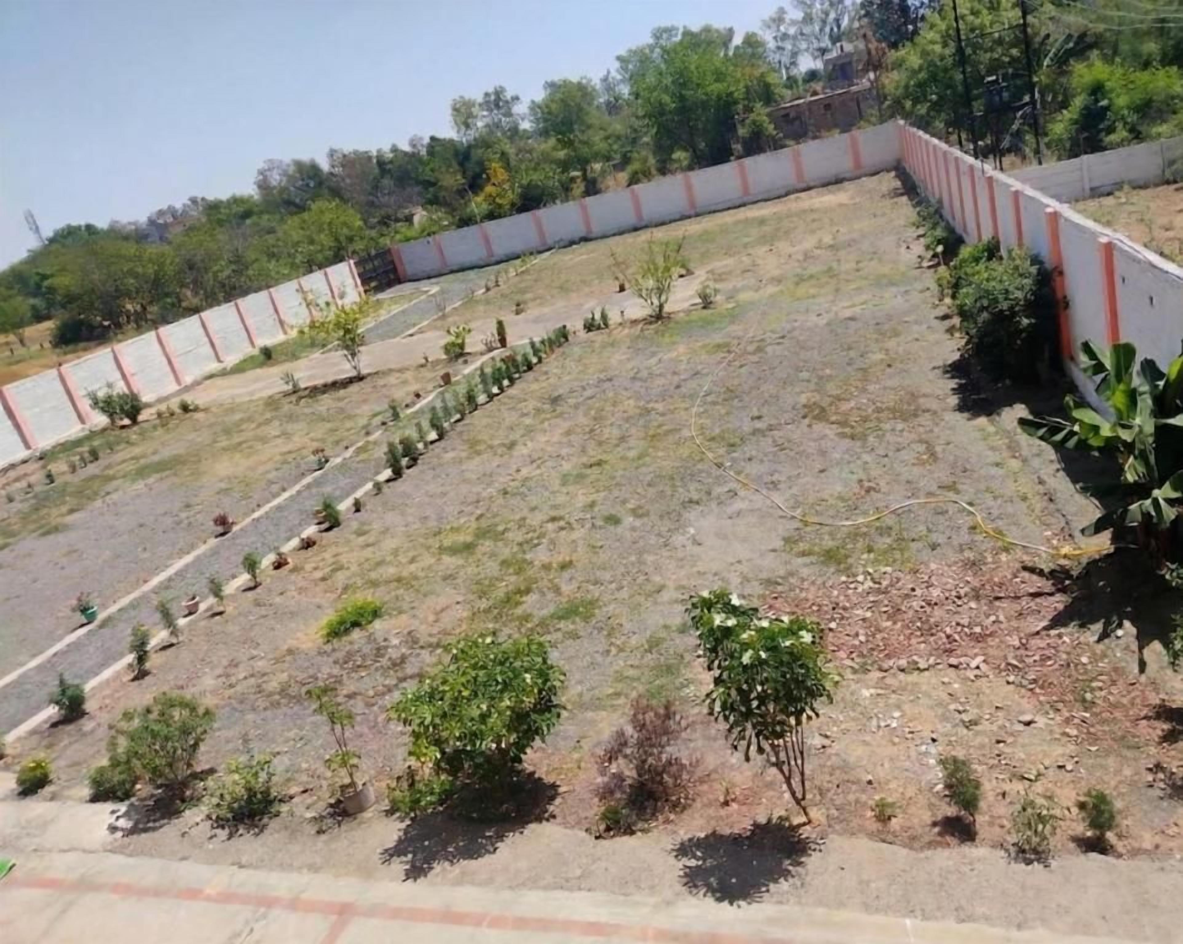 A flat, open area with a white wall and a row of small trees.