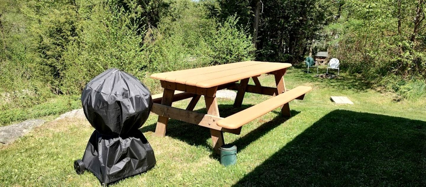 A picnic table with a grill and a covered item, surrounded by greenery.