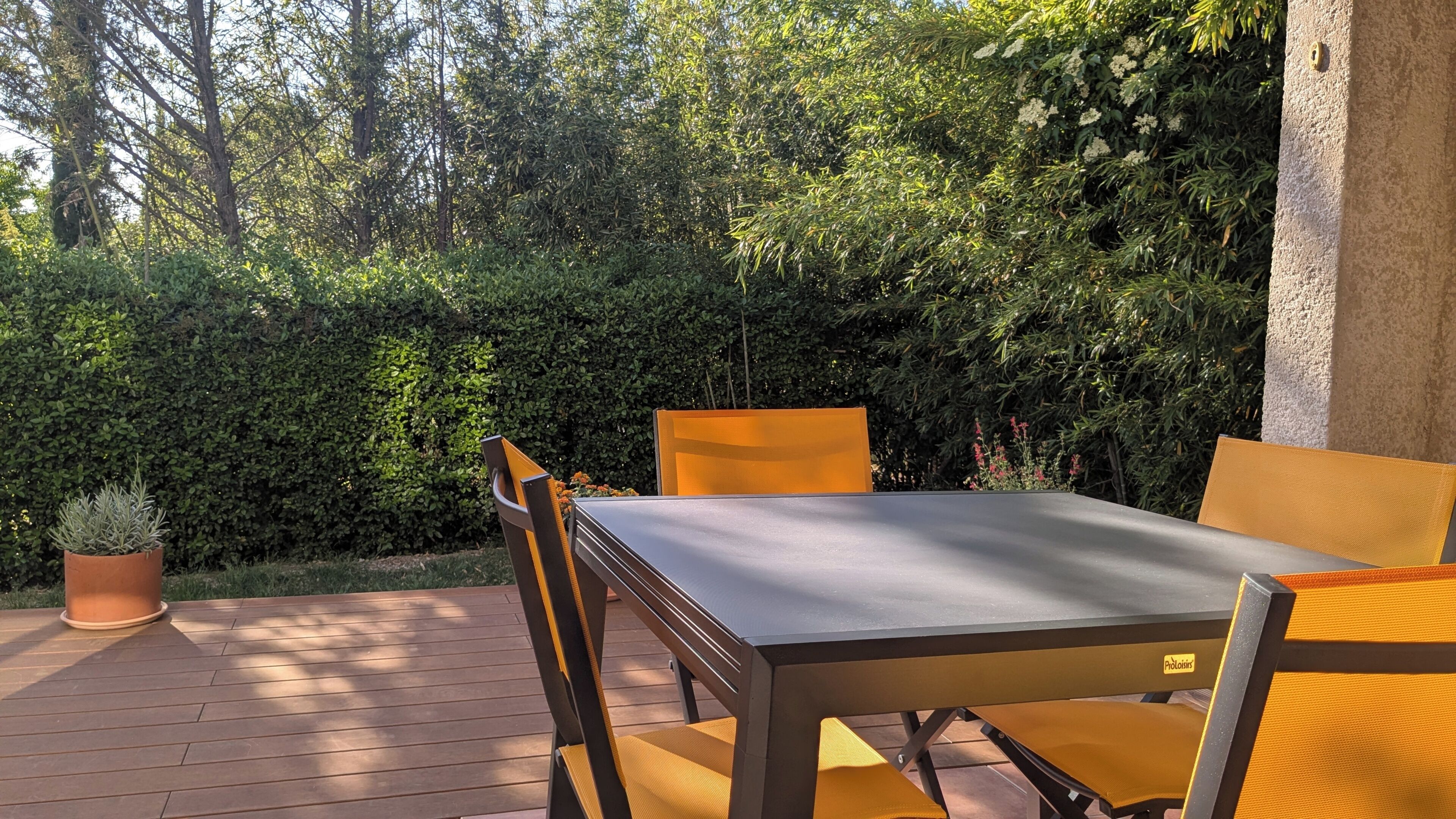 An outdoor patio with a table and chairs, surrounded by dense foliage.