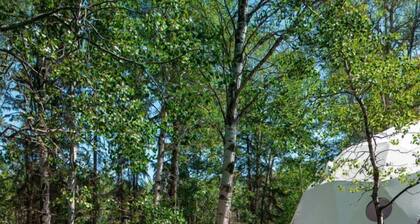 Aer XL Dome - Luxury Off Grid Escape, Near Oldman Lake