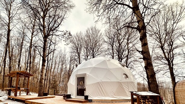 A geodesic dome structure with a wooden deck and steps leading to it, surrounded by trees.