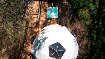 A geodesic dome structure surrounded by dense forest.