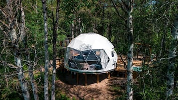 Une structure en forme de dôme géodésique, entourée d’arbres.