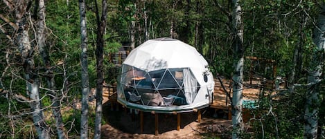 Una estructura en forma de cúpula geométrica rodeada de árboles.