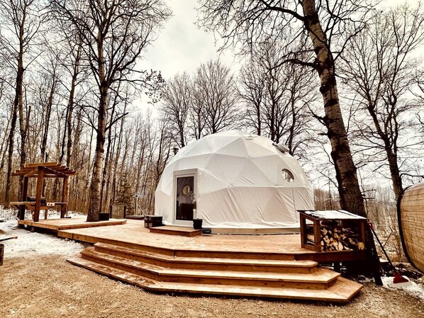 A geodesic dome structure with a wooden deck and steps leading to it, surrounded by trees.