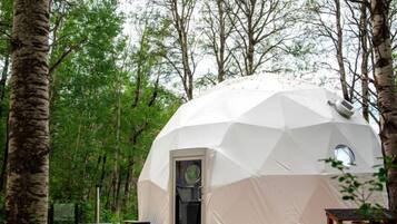 A geodesic dome structure with a door and windows, surrounded by trees.