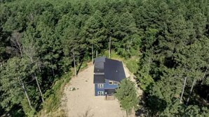 Yhden kerroksen talo, jossa on tumma katto, ja sen ympärillä on tiheää metsää.