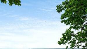 A wooden deck with a metal railing overlooking a body of water. - Amazing Beachfront Cottage with Barbecue in Leamington, Ontario (Leamington)