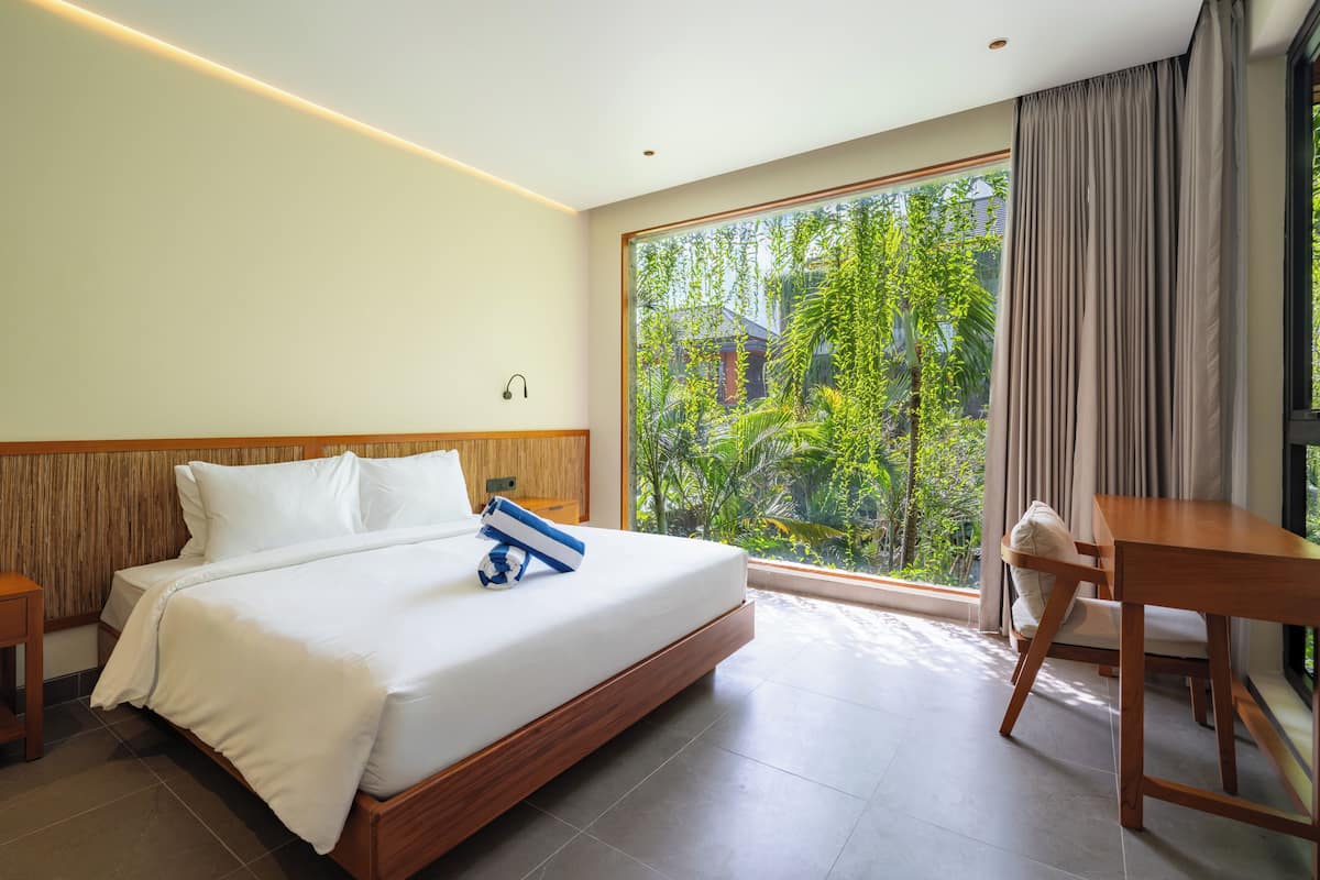 Deluxe Apartment, City View