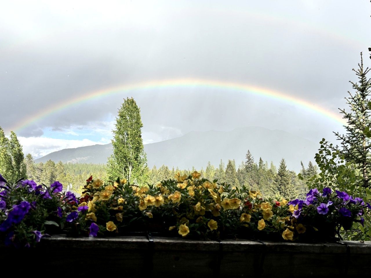 A garden with a rainbow, trees, and mountains in the background.