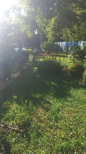Property grounds - Charming downstairs villa (Forcalquier)