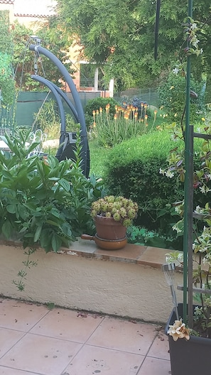 Un jardí amb plantes en testos, una estructura metàl·lica i un camí pavimentat amb rajoles.