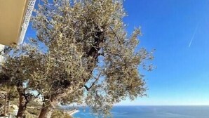 Un balcone con ringhiera che si affaccia sulla costa.