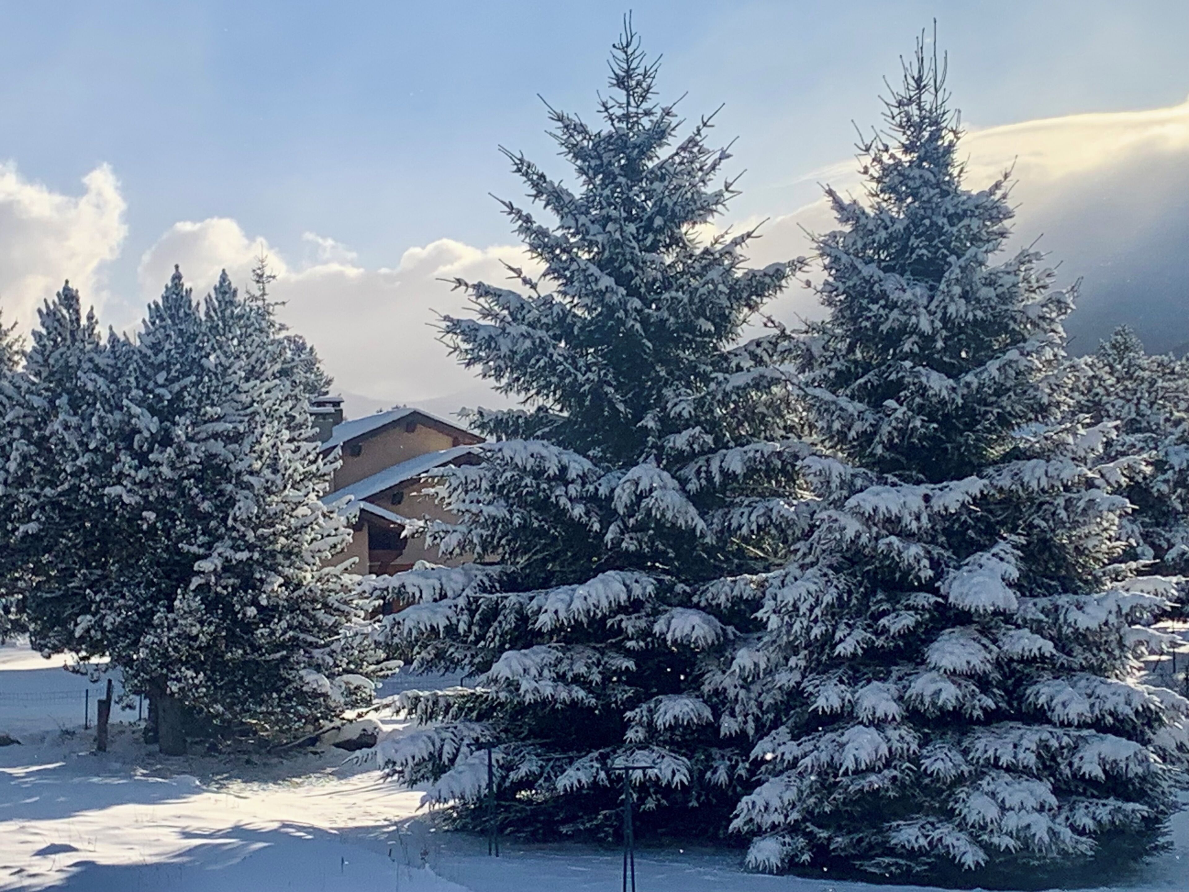 A snow-covered landscape with a wooden cabin and evergreen trees.