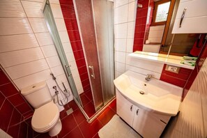 Shower, hair dryer, towels, toilet paper - Guest House Luiza (Borsh)