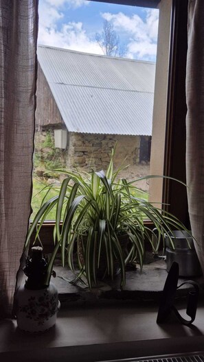 A window with a view of a house, a plant, and a vase. - Studio Le Mélèze (Méolans-Revel)