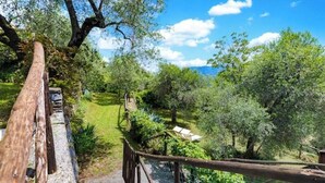 Un sentier qui traverse un jardin, avec une clôture en bois d’un côté, et d’où l’on peut admirer des arbres et un ciel dégagé.