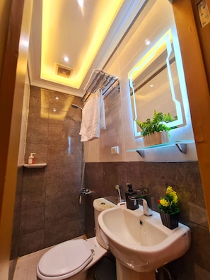 Separate tub and shower, designer toiletries, hair dryer, slippers - tourist hotel cairo downtown (Cairo)