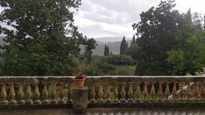 A stone balustrade with a potted plant, overlooking a lush landscape with trees and distant hills. - 100% Authentic Tuscany: A Great Villa in the Countryside for Families and Groups (Toscana)