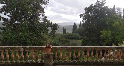 Total Tuscany 100%, great Villa in the coutryside for families and groups