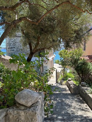 Ein gepflasterter Weg führt zu einem Gebäude mit Blick aufs Meer.