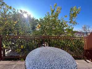 Uma varanda com piso estampado, guarda-corpo de metal e vista para árvores frutíferas.