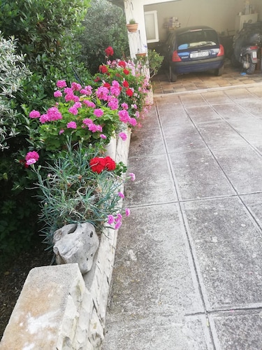 Apartment Pavin