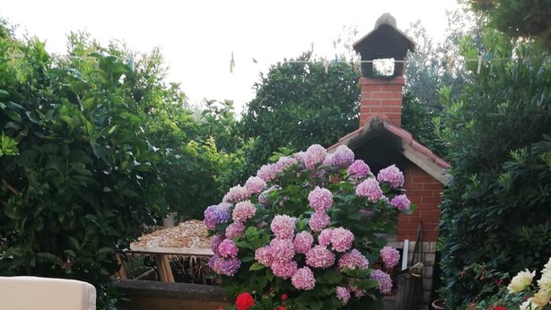 Eine Terrasse mit gefliestem Boden, einem Holzstuhl und einem Blumentopf mit rosa und roten Blüten.